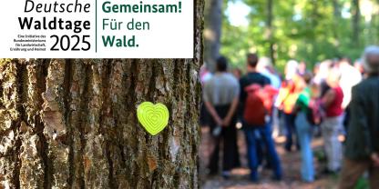Einladung Deutsche Waldtage