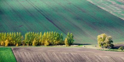 Ackerflächen-AdobeStock_14017791