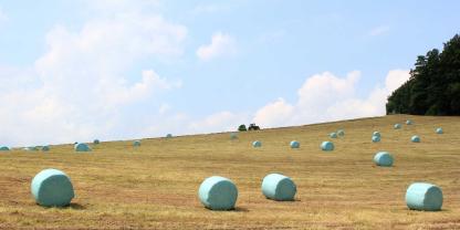 Prinzipiell dürfen Landwirte ungestapelte Silageballen auf dem Feld lagern.
