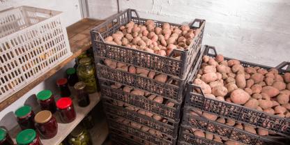 Konserven und Kartoffeln im Keller
