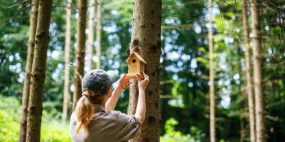 Der Naturschutz im Wald ist wichtig, aber wie er gelingt, ist umstritten.