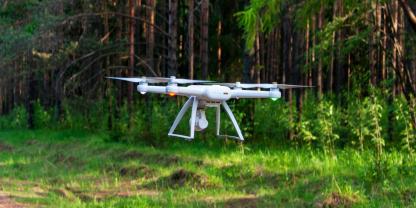 Drohnen und autonome Roboter sollen künftig Bäume in steilen Bergwäldern pflanzen. Daran forscht aktuell die Hochschule Kempten. (SYMBOLBILD)