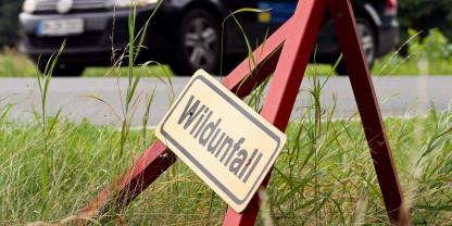 Nach einem Wildunfall hat ein Jäger die Autofahrer zur Kasse gebeten. Nach einem Wildunfall hat ein Jäger die Autofahrer zur Kasse gebeten.
