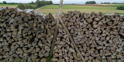 Brennholz-AdobeStock_374151494