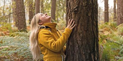 Die immergrünen Nadeln von Fichte, Kiefer und Tanne trösten über das Herbstgrau hinweg – zudem  tragen sie wertvolle ätherische Öle in sich. Die immergrünen Nadeln von Fichte, Kiefer und Tanne trösten über das Herbstgrau hinweg – zudem  tragen sie wertvolle ätherische Öle in sich.