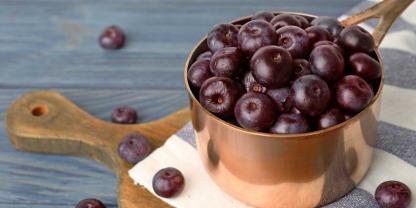 Acai-Beeren verderben nach der Ernte sehr schnell. Die Beeren müssen zügig nach der Ernte verarbeitet werden. Daher bekommt man sie bei uns nicht frisch. Acai-Beeren verderben nach der Ernte sehr schnell. Die Beeren müssen zügig nach der Ernte verarbeitet werden. Daher bekommt man sie bei uns nicht frisch.