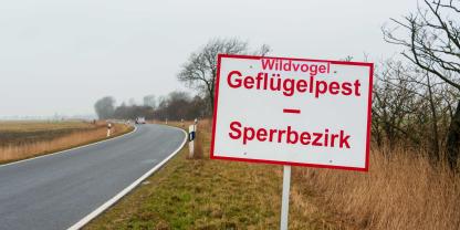 Derzeit gibt es in Deutschland einen großen Ausbruch der Vogelgrippe. Derzeit gibt es in Deutschland einen großen Ausbruch der Vogelgrippe.