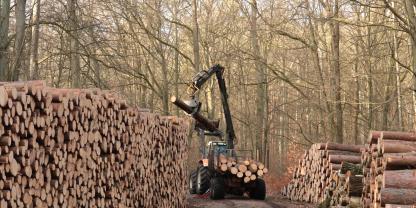 Holzpolter 