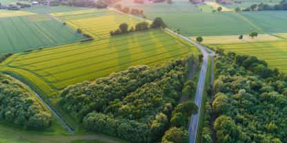Staße-Felder-Dorf-AdobeStock_180746765 Staße-Felder-Dorf-AdobeStock_180746765