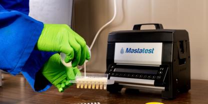 Verursacher von Mastitis schneller finden