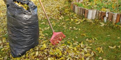 Laubfall-Herbst-AdobeStock_57160316