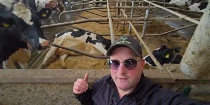 Um sie zu testen hat Landwirt Bützler in eine Reihe seiner Liegeboxen Sandbettwaben eingebaut.