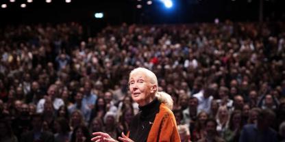 Jane Goodall bei einem Vortrag.