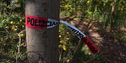 In einem Waldstück entdeckte ein Passant eine verdächtige Blutspur. Die Polizei ermittelte.