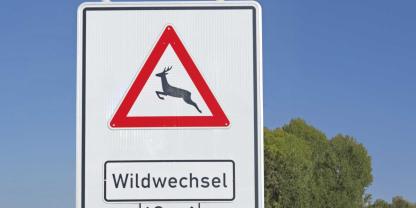 Können Revierpächter die Behörden zu  Warnschildern bewegen, ist die Divise: Je größer, desto besser, denn es gilt Autofahrer zu „beeindrucken“.