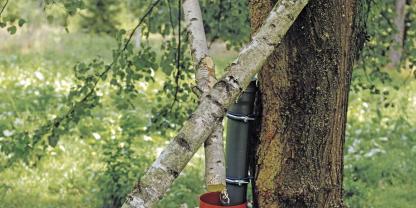 Auf der unteren Etage kann der Fuchs an die Köderstation, ohne dass Sauen daran kommen. In der zweiten Etage befindet sich eine Luderröhre mit Leckereien für Marder und Waschbär, die so vor Rabenvögeln sicher sind. Auf der unteren Etage kann der Fuchs an die Köderstation, ohne dass Sauen daran kommen. In der zweiten Etage befindet sich eine Luderröhre mit Leckereien für Marder und Waschbär, die so vor Rabenvögeln sicher sind.