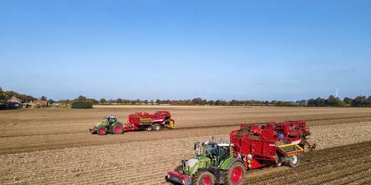Abräumer: Mit gleich zwei Fendt-Grimme-Gespannen ist der Betrieb Schepergerdes in der Stärkekartoffelernte unterwegs.