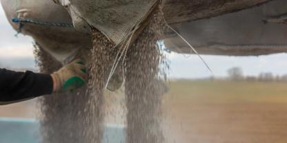 Feld-Mineraldünger-AdobeStock_80427005 Feld-Mineraldünger-AdobeStock_80427005