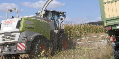Ein Maishäcksler bei der Ernte