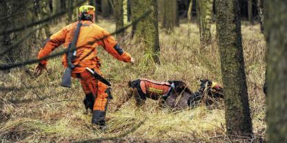 Eine brenzlige Situation: Die Hunde stellen ein krankes Stück Schwarzwild. Da gilt es für den Hundeführer einen kühlen Kopf behalten.