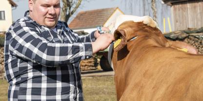 Korrekte Vorführhaltung: Nase und Rücken des Rindes und Ellbogen des Vorführers sollten auf gleicher Höhe sein. Korrekte Vorführhaltung: Nase und Rücken des Rindes und Ellbogen des Vorführers sollten auf gleicher Höhe sein.