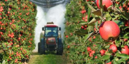 Kein Bullerbü: Auch im Obstbau findet Pflanzenschutz statt. Allerdings, liebe Tatort-Fans: Glyphosat wird nicht vernebelt, denn dann würde da nichts mehr stehen. Den Filmemachern war‘s egal. (Symbolbild) Kein Bullerbü: Auch im Obstbau findet Pflanzenschutz statt. Allerdings, liebe Tatort-Fans: Glyphosat wird nicht vernebelt, denn dann würde da nichts mehr stehen. Den Filmemachern war‘s egal. (Symbolbild)