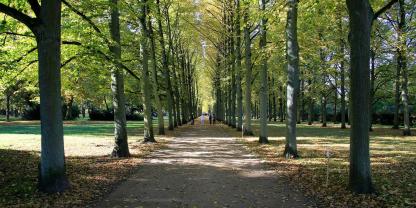 Im Französischen Garten in Celle wurde bereits im Mai ein trächtiges Reh gejagt.