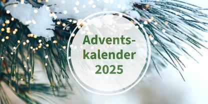 Adventskalender 2025