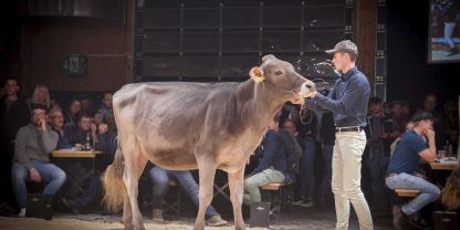 Hank-Tochter Vegas im Besitz von Beni Schmid holt den Championtitel im Vorjahr.