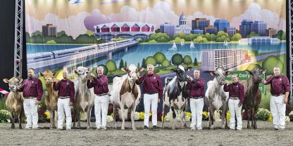 Bei der World Dairy Expo 2025 stand erneut die Wahl des „Supreme Champion“ im Mittelpunkt – der besten Kuh der Ausstellung.