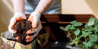 Umweltbewusste Gärnter nutzen torffreie Erden.