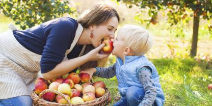 Herzhaft in einen frischen Apfel zu beißen, ist vielleicht bald für mehr Menschen möglich.