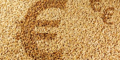 Euro-Getreidepreise-AdobeStock_37447483