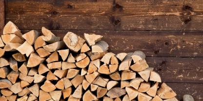 Welche Holzart hat den höchsten Brennwert? Das muss beim Kauf unbedingt beachtet werden – nicht nur der Preis.