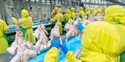 Die größten Geflügelfleischproduzenten weltweit finden sich vor allem in Nord- und Südamerika.