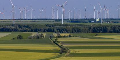 Vielfeldrige Fruchtfolgen haben den Klassiker Raps-Weizen-Gerste längst abgelöst.