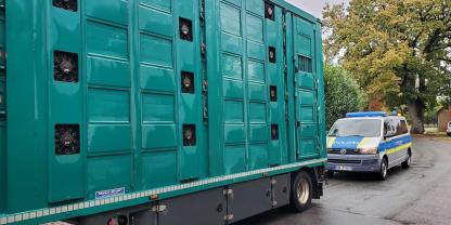 Tiertransporter bei einer Polizeikontrolle