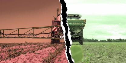 Ohne Pflanzenschutzmittel, aber mit Mineraldünger: Ist das der neue Weg?