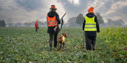 Bei einer Treibjagd in Niedersachsen verletzt eine Jägerin zwei Passanten (Symbolbild).