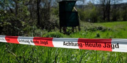 Welche Unterschiede gibt es bei Treib- und Drückjagden?