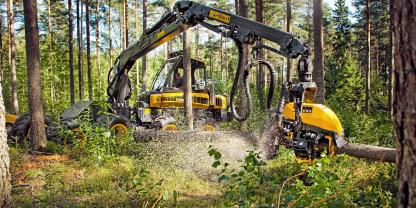 Wer nicht im Wald arbeitet, sieht Harvester selten aus der Nähe.