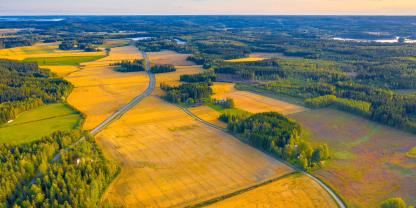 Wald-Felder-Wasser-AdobeStock_292911738