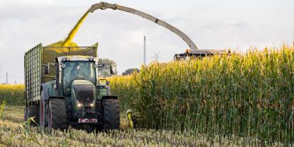 Traktor-Maisernte-AdobeStock_516901504