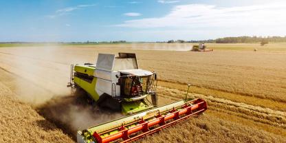 Mähdrescher bei der Getreideernte