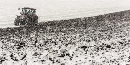 Schnee und Kälte im Anmarsch? Bauernregeln nutzen Landwirten wenig.