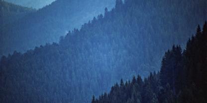 Wie finster und unwegsam war der Schwarzwald?