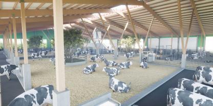 Einblick in den Stall mit freier Liegefläche mit Bäumen und Kälberschlupf.