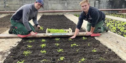 Ausbildung für Alle: Manuel (links) und Ausbilder Sebastian Hölzl pflanzen gemeinsam Winterportulak.