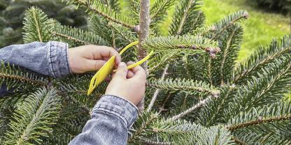 Diese gelben Anhänger werden mit Namen versehen und an den Wunschbaum gehängt.