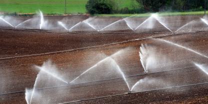 Bewässerung-AdobeStock_23729311